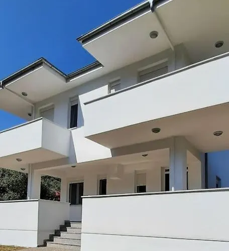 Olive Deluxe Golden *